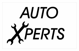 AUTO XPERTS logo