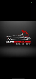 AUTOESTIMADOS ONLINE.COM logo