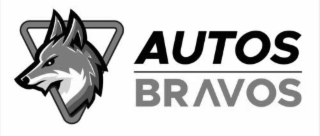 AUTOS BRAVOS logo