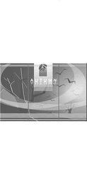 AUTUMN logo