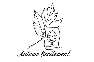 AUTUMN EXCITEMENT
