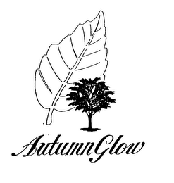 AUTUMN GLOW logo