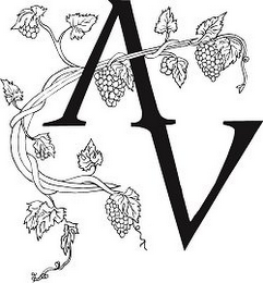 AV logo