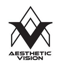 AV AESTHETIC VISION logo