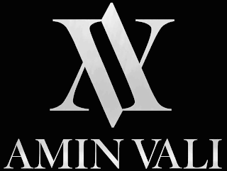 AV AMIN VALI logo