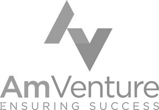AV AMVENTURE ENSURING SUCCESS logo