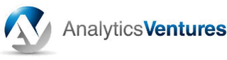 AV ANALYTICS VENTURES logo
