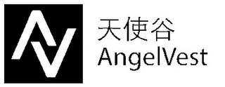AV ANGELVEST logo