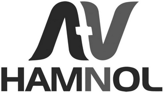 AV HAMNOL logo