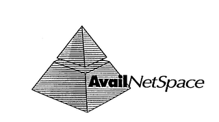 AVAIL NETSPACE logo