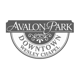 AVALON PARK DOWNTOWN WESLEY CHAPEL logo