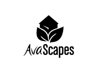 AVASCAPES logo