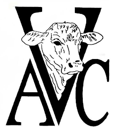 AVC logo