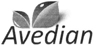 AVEDIAN logo