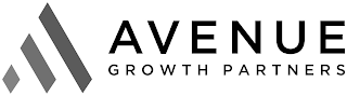 AVENUE GROWTH PARTNERS logo