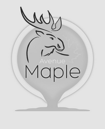 AVENUE MAPLE logo