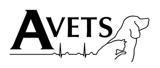 AVETS logo