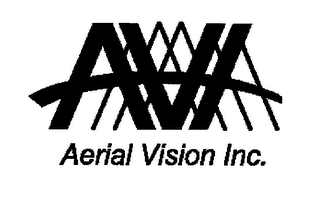 AVI AERIAL VISION, INC. logo