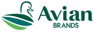 AVIAN BRANDS logo