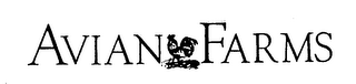 AVIAN FARMS logo