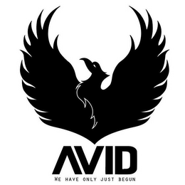 AVID WE HAVE ONLY JUST BEGUN logo