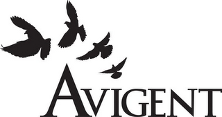 AVIGENT logo