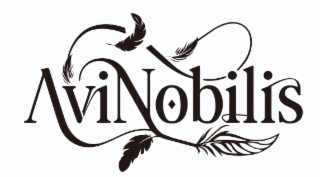 AVINOBILIS logo