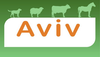 AVIV logo