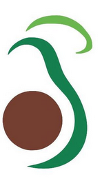 AVOCADO IMAGE logo