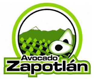 AVOCADO ZAPOTLÁN logo