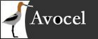AVOCEL logo