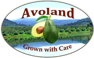 AVOLAND GROWN WITH CARE logo