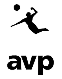 AVP logo