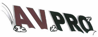 AVPRO logo