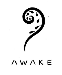 AWAKE logo