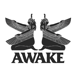 AWAKE logo