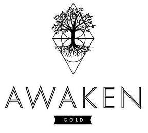 AWAKEN GOLD logo