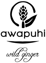 AWAPUHI WILD GINGER logo