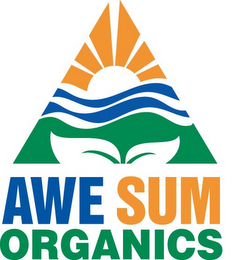AWE SUM ORGANICS logo