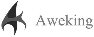 AWEKING logo