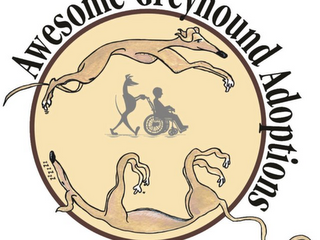 AWESOME GREYHOUND ADOPTIONS ZZZZZZ logo