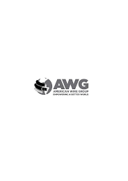 AWG AMERICAN WIRE GROUP EMPOWERING A BETTER WORLD logo