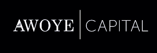 AWOYE CAPITAL logo