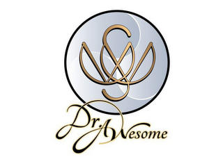 AWS DR. AWESOME logo