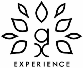 AX EXPERIENCE logo