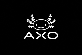 AXO logo