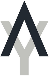 AY logo