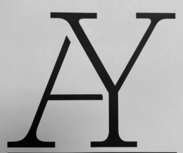 AY logo