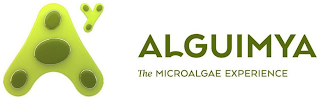 AY ALGUIMYA THE MICROALGAE EXPERIENCE logo