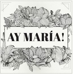 AY MARIA! logo